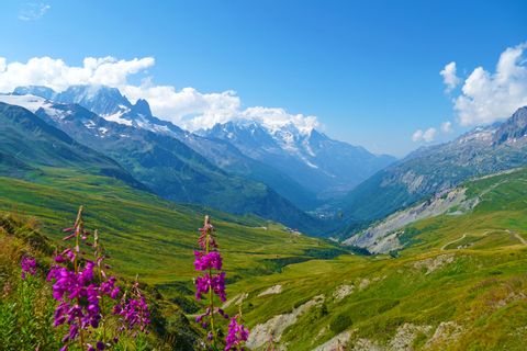 Wanderpanorama auf der Tour du Mont Blanc