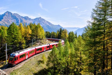 Un train rouge des Chemins de fer rhétiques traverse la forêt. En arrière-plan, un ciel bleu clair au-dessus des montagnes de l'Engadine.