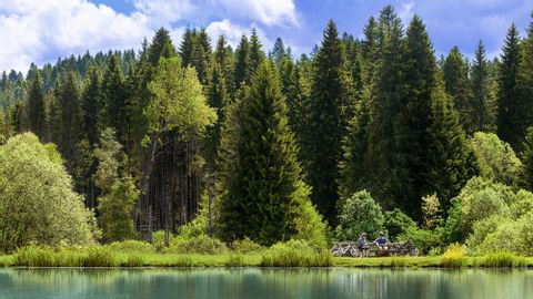 Cyclists take a break in a forest on the banks of a lake in the Jura.