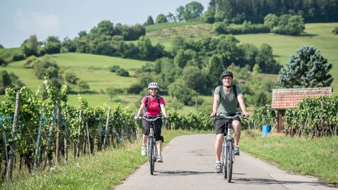 Un duo roule à travers les vignes à Hallau. Vacances à vélo avec Eurotrek.