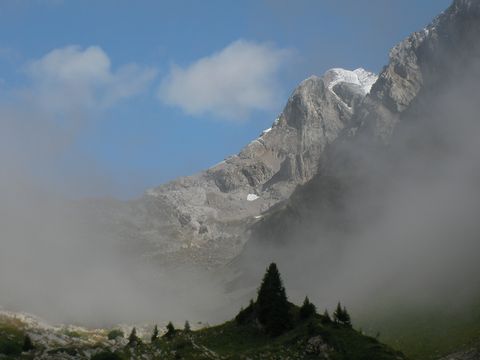 Nebel hüllt die Berglandschaft in ein mystisches Kleid.