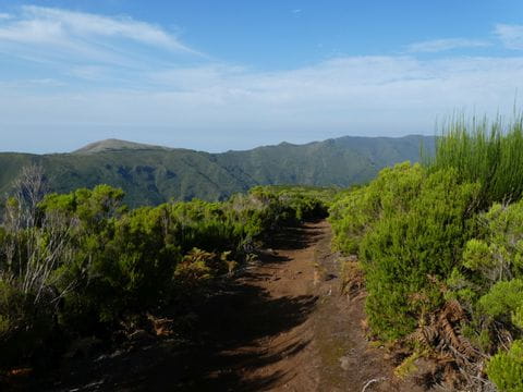 Das Hochplateau Paul de Serra mit geschützten UNESCO-Wäldern