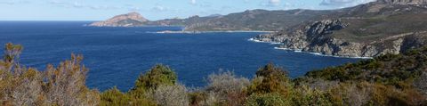 Eine Bucht auf Korsika mit felsigen Klippen und Buschlandschaft.
