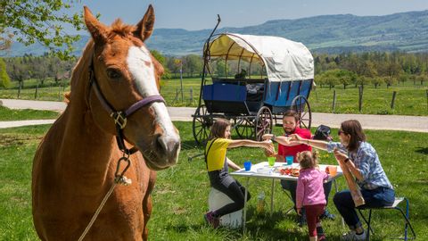 Une famille de quatre personnes est assise dans la prairie, autour d'une table carrée, et fait un pique-nique. Le cheval est à côté et la roulotte en arrière-plan. Vacances en roulotte avec Eurotrek.