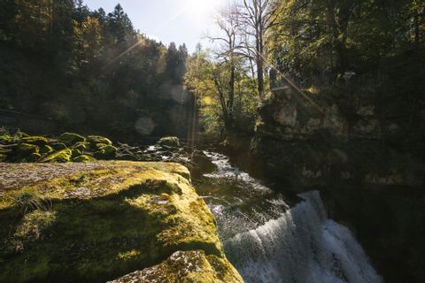 Wasserfall im Wald.