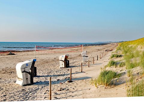 Typische Strandkörbe an der Ostsee.