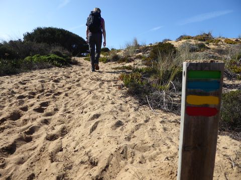 Eine Person wandert auf einem Sandweg einen Hügel hoch.
