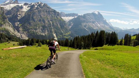 Mountainbiker auf einem Radweg duch die Natur.