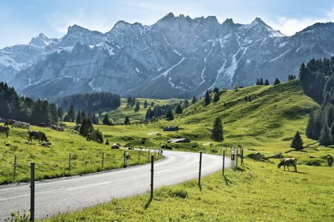 Route entre Rorschach et Weesen avec montagnes et prairies en arrière-plan. Chemin du panorama alpin. Vacances de randonnée avec Eurotrek.