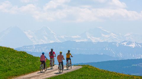 Quatre cyclistes profitent de la vue sur les montagnes depuis l'Emmental lors de leur randonnée à vélo sur la route du cœur.