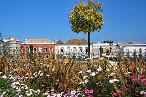 Von Blumen gesäumte Promenade vor einer typischen Häuserfront an der Algarve