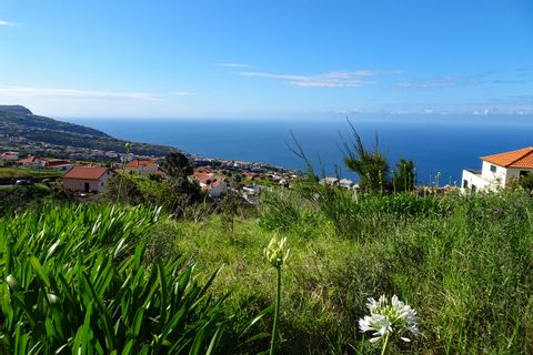 Ausblick über die Landschaft von Madeira