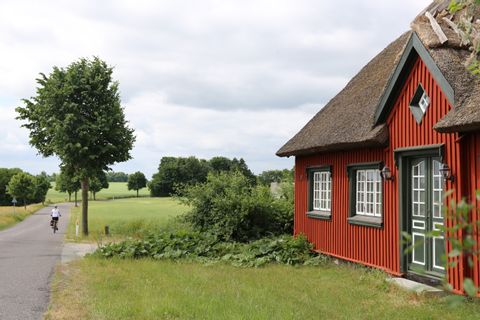 Ein traditionelles rotes Haus in Dänemark steht inmitten einer Wiesenlandschaft.