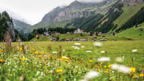 Weitläufige Wiesenlandschaften lassen sich auf der grössten Alp der Schweiz, dem Urnerboden, auf dem Klausenpass finden.