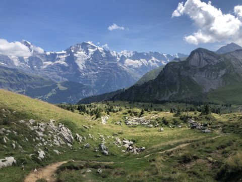 Von einem Bergweg hinab sieht man das gesamte Jungfrau Massiv hinter grünen Wiesen. 