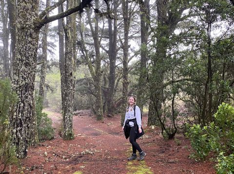Riana wandert durch den Pinienwald von El Hierro. 