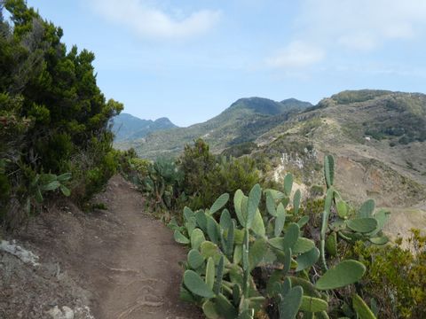 Die Flora auf der Nordküste Rundwanderung auf Madeira