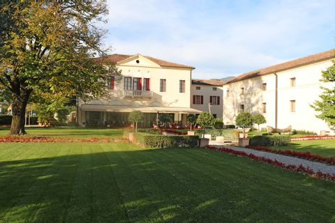 Garten Villa Ca'Sette