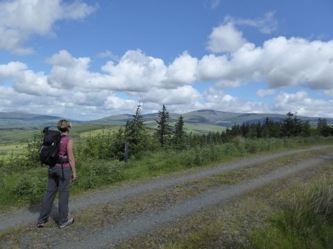 Wanderin geniesst die Aussicht auf dem Wicklow Way in Irland