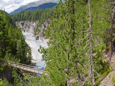 Eine kleine Holzbrücke führt über einen Gletscherfluss der zwischen dichten Waldrändern hervor schaut.