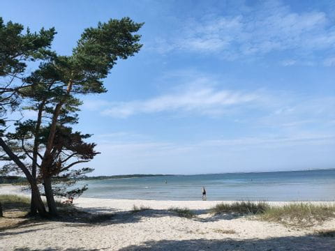Von weitem sieht man eine Person durchs Meer laufen. Ein weisser Sandstrand mit einem grossen Baum auf der linken Seite. 