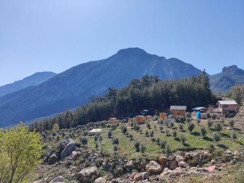 Vor zwei Bergen befindet sich eine Campinglodge mit Holzhäusern auf einer grünen Wiese 