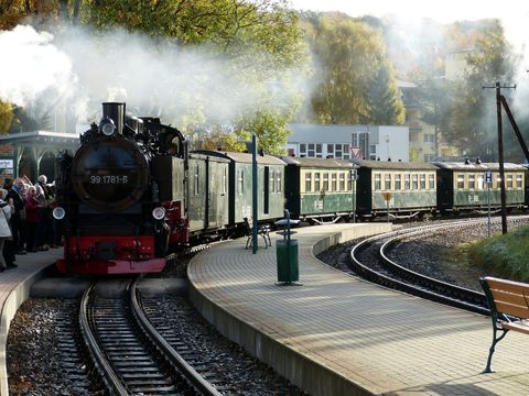 Eine alte Dampflocke fährt in einen Bahnhof in Rügen ein. 