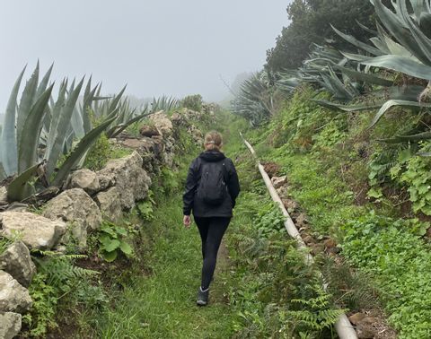 Riana wandert auf ihrer ersten Etappe durch Kakteenfelder von El Hierro. 