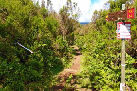 Hiking signpost and natural trails on Madeira island