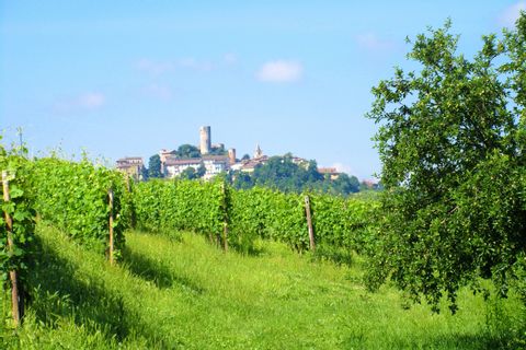 Piemont Sternfahrt Aussicht Barolo