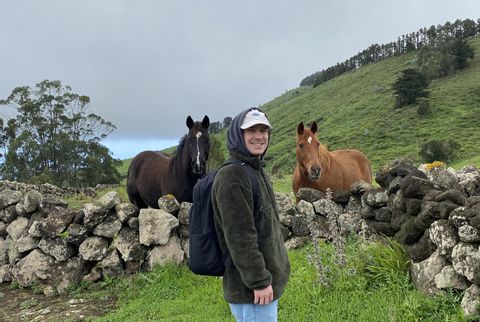 Zwei Pferde auf einer Weide auf El Hierro, die uns bei der 2. Wanderetappe begegnet sind. 