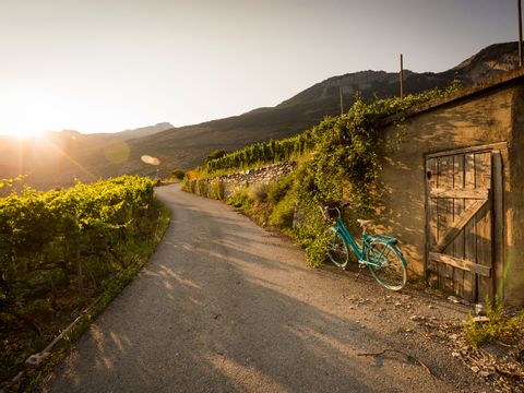 A green bicycle stands next to a wooden door on a cobbled road between vineyards in Valais. In the background, the evening sun shines from behind the mountain. Chemin de vignoble. Cycling holidays with Eurotrek.