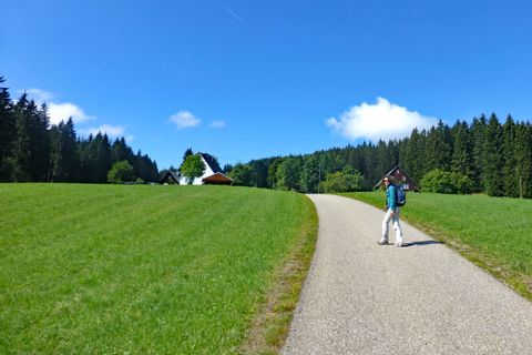 Hiking path to the Black Forest