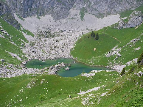 Bergseeoase inmitten der Gerölllandschaft.