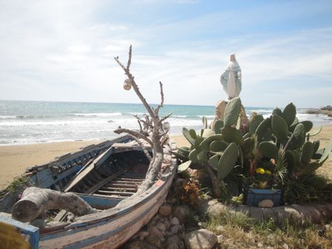 Verlassenes Boot und ein Kaktus vor dem Meer. Sizilien Südost. Aktivferien mit Eurotrek. 