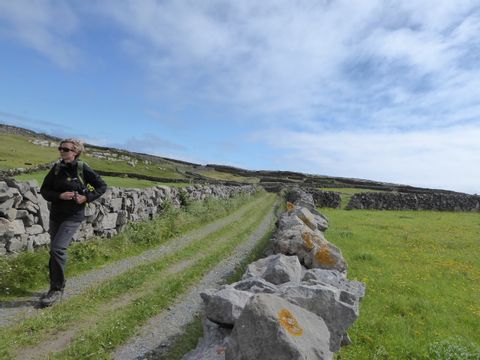 Wanderin auf dem West Highland Way zwischen Wiesen und Steinmauern