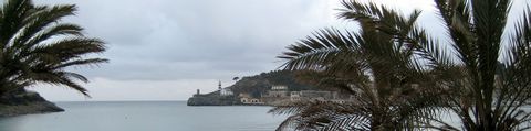 Foto vom Strand aus, auf Mallorca. Die Palmblätter Rahmen das Foto ein.