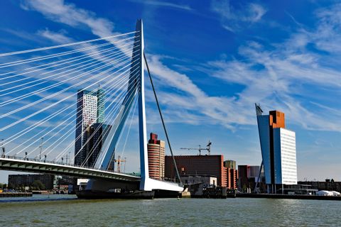 Erasmus Bridge in Rotterdam 