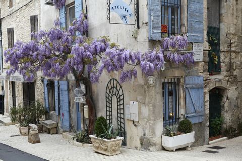 Provence