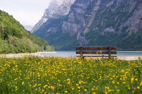 Bank auf Blumenwiese am Genfer See