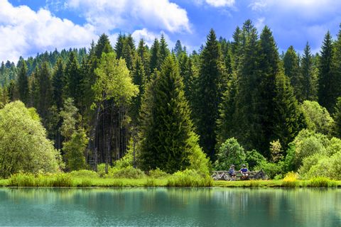 Zwei Velofahrer geniessen die Ruhe an dem ruhigen Ufer des Sees in den unberührten Wäldern im Kanton Jura.