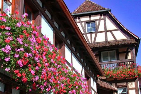 La maison à colomage mit wunderschönen Blumen auf der Wanderreise besichtigen