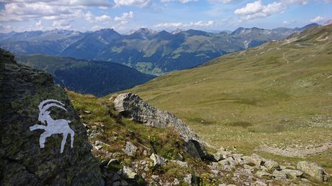 Bergpanorama in den Bergen Graubündens mit Steinsbocksymbol auf einem Stein.
