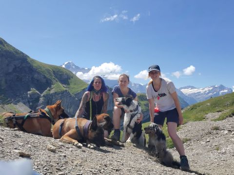 Ein Foto von drei Frauen mit ihren Hunden vor einer schönen steinigen Berglandschaft. 