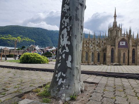 Hinter einem Baumstamm steht eine Kirche in Miniatur Version im Swiss Miniatur.