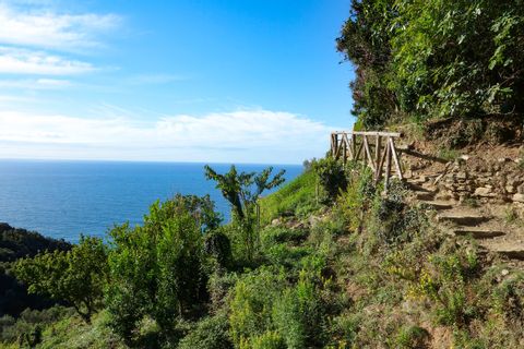 Wanderweg in Cinque Terre