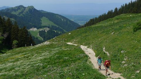 Wandern durch grüne Landschaften. Via-Alpina. Wanderferien mit Eurotrek.