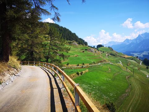 Ein Veloweg führt an einem Hang entlang im Schweizer Nationalpark.
