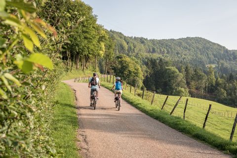 Zwei Velofahrer fahren bei Sceut im Kanton Jura auf der Route Verte.