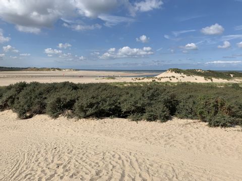 Blick auf die Küste bei Brügge mit Dünen.